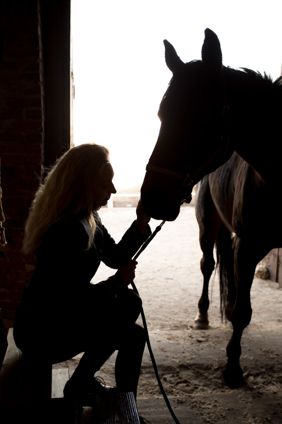 Vet professionals giving navicular disease in horses treatment care.